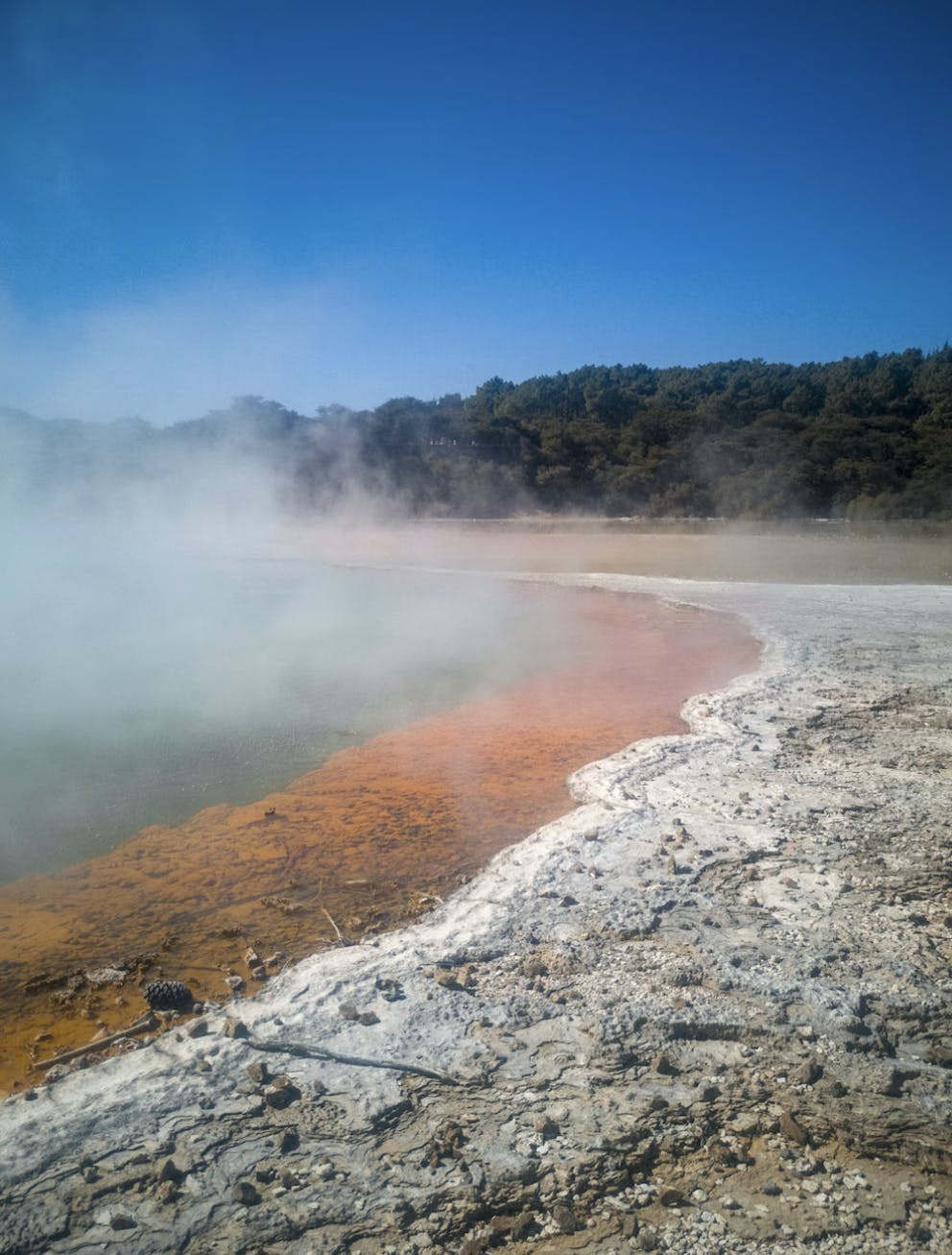 Screenshot 2023 01 10 at 7.42.54 AM